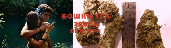 ПСИЛОЦИБИНОВЫЕ ГРИБЫ Гусев