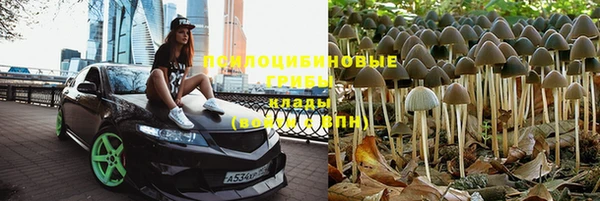 гидропоника Гусь-Хрустальный