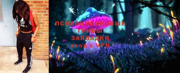 первитин Горняк