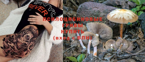 ECSTASY Горнозаводск