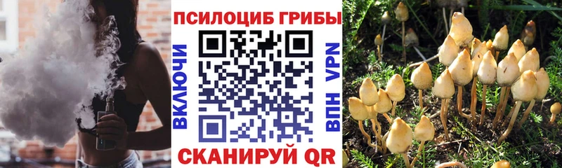 Галлюциногенные грибы прущие грибы  Серпухов 
